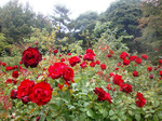 CIMG0042a.jpg