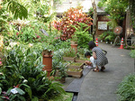 CIMG0055a.jpg