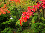 CIMG0078a.jpg