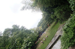 CIMG0151a.jpg