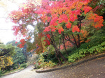 CIMG0480a.jpg