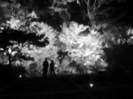 CIMG0604a.jpg