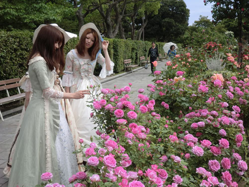 春のバラ園にローズ プリンセスが登場 王侯貴族のバラ園 神戸市立須磨離宮公園ブログ