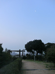 CIMG2797a.jpg