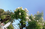 CIMG2846a.jpg