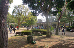 CIMG3608a.jpg