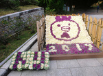 CIMG4013a.jpg