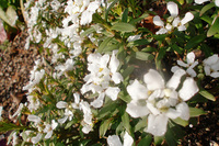CIMG4877a.jpg