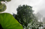CIMG5022a.jpg