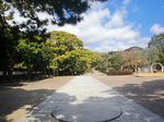 CIMG5384a.jpg