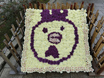 CIMG5551a.jpg