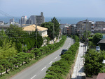 CIMG5677a.jpg
