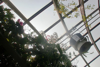 CIMG5685a.jpg