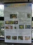 CIMG5855.jpg