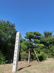 CIMG6459a.jpg