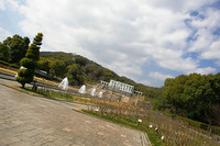 CIMG6726a.jpg