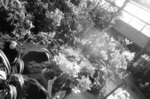 CIMG6845a.jpg