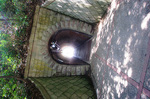 CIMG6935a.jpg