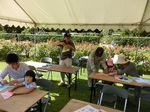 CIMG6962jpga.jpg