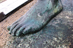 CIMG7057a.jpg