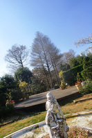 CIMG7062a.jpg