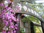 CIMG7234a.jpg