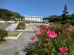 CIMG7392a.jpg