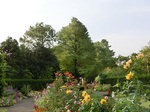 CIMG7540a.jpg