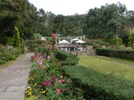 CIMG7554a.jpg