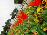 CIMG7774a.jpg