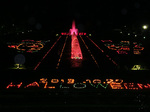 CIMG7794a.jpg