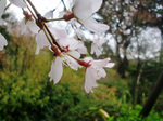 CIMG7817a.jpg