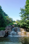 CIMG7967a.jpg