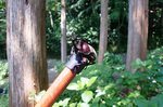 CIMG8009a.jpg