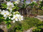 CIMG8099a.jpg