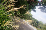 CIMG8360a.jpg