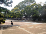 CIMG8378a.jpg