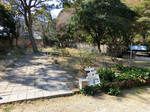 CIMG8505aa.jpg