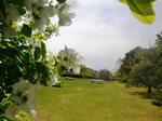 CIMG8527a.jpg