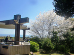 CIMG8660a.jpg