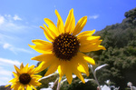 CIMG8727a.jpg