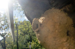 CIMG9096a.jpg