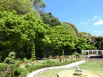 CIMG9275a.jpg