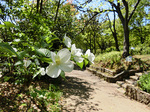 CIMG9331a.jpg