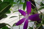 CIMG9348a.jpg