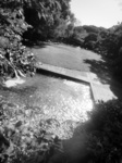 CIMG9492a.jpg