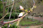 CIMG9538a.jpg