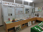 CIMG9562a.jpg