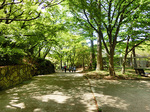 CIMG9617a.jpg
