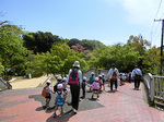 CIMG9625a.jpg